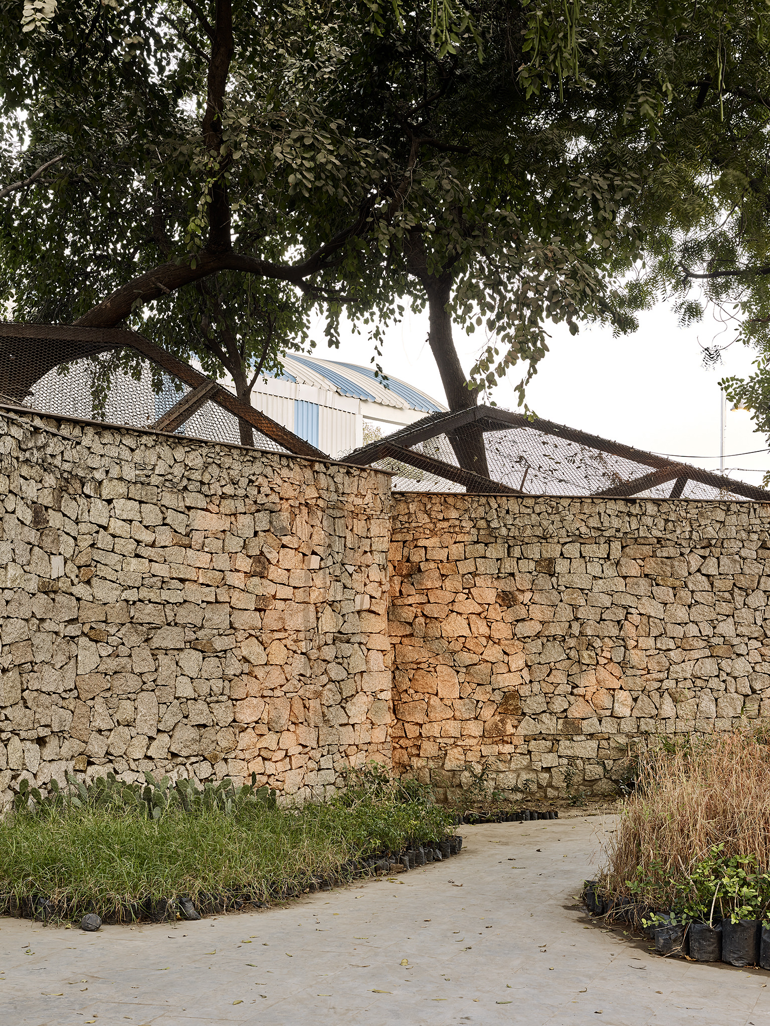 Nocturnal Animal House, Kamla Nehru zoological garden, Ahmedabad